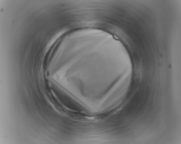 X0000079330674200612082000