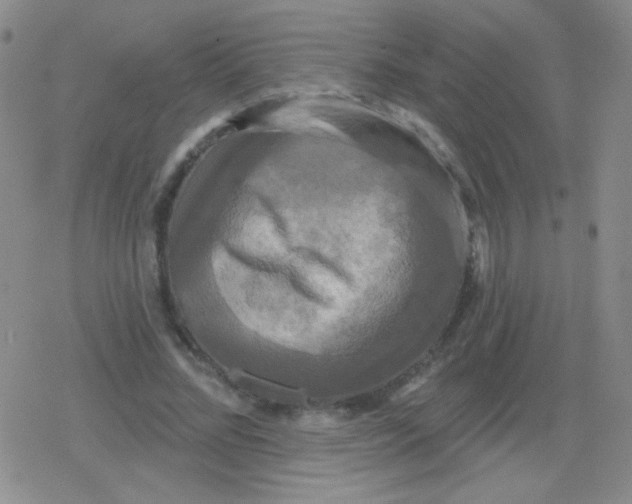 X0000079330684200612081959