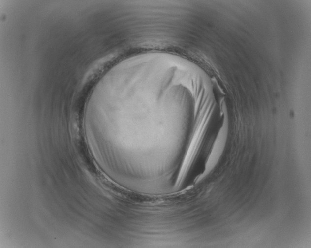 X0000079330688200612081959