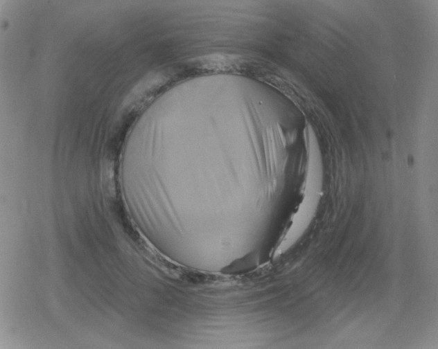 X0000079330696200612081959