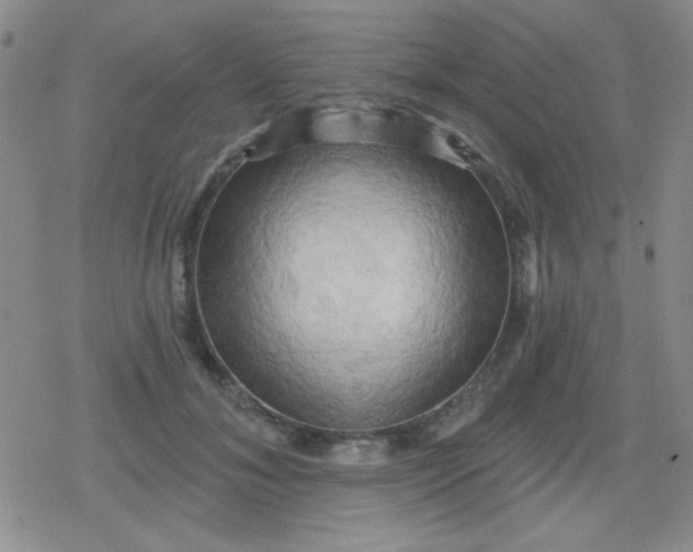 X0000079330700200612081959