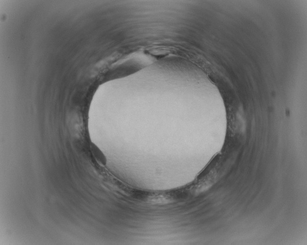 X0000079330704200612081959