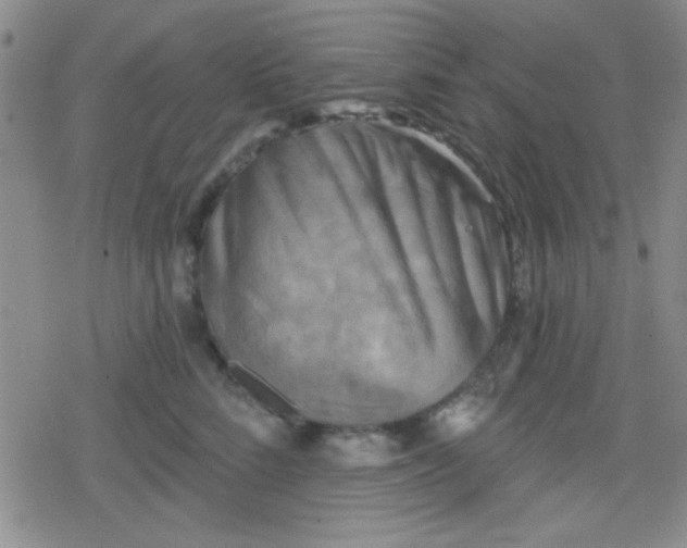 X0000079330712200612081959