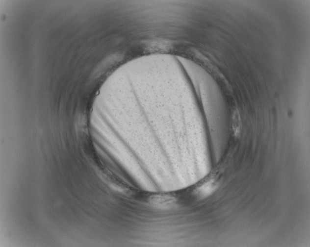 X0000079330714200612081959