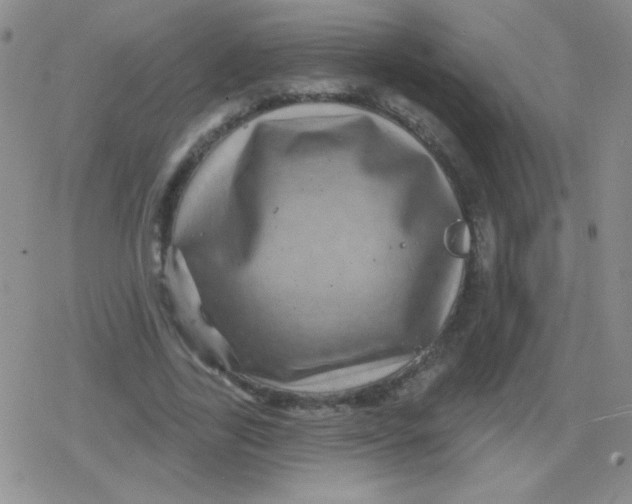 X0000079330731200612081958
