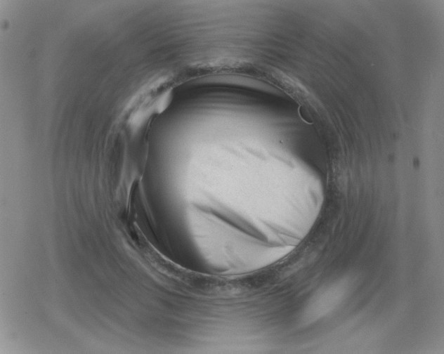 X0000079330735200612081958