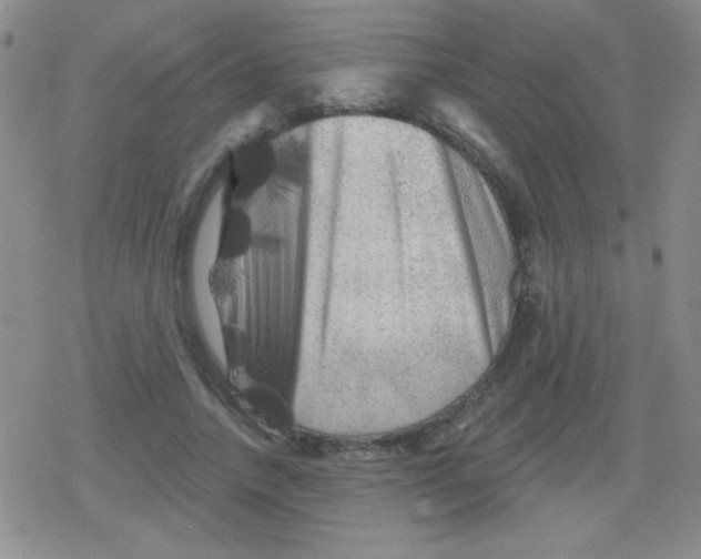 X0000079330738200612081958