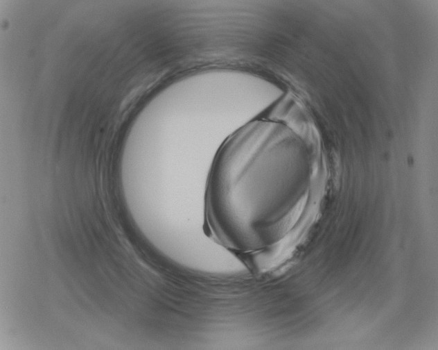 X0000079330740200612081958