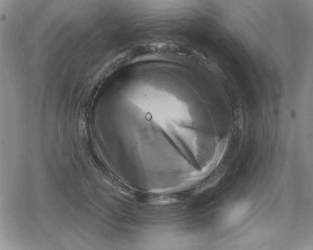 X0000079330754200612081959
