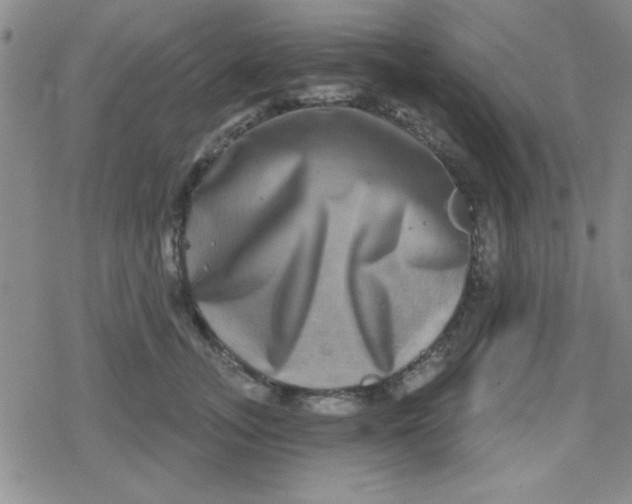 X0000079330755200612081959