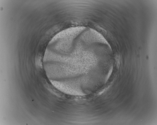 X0000079330770200612081958