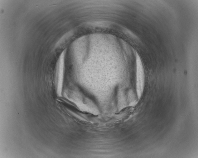 X0000079330774200612081958