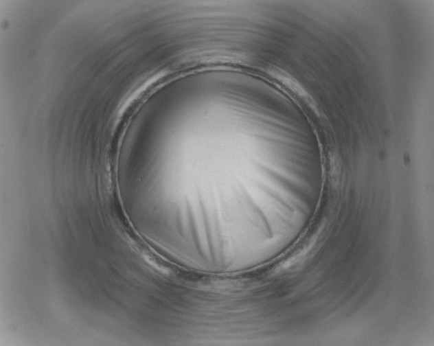 X0000079330782200612081958