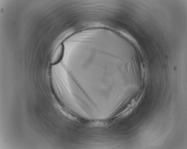 X0000079330806200612081958