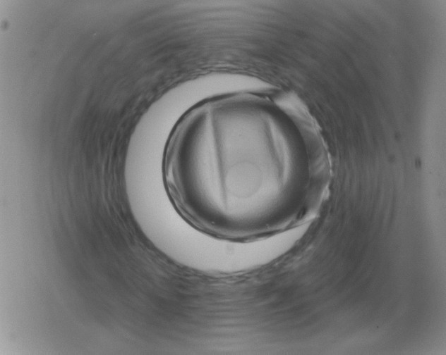 X0000079330818200612081957