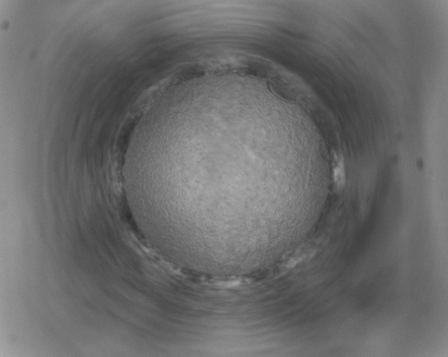 X0000079330819200612081957