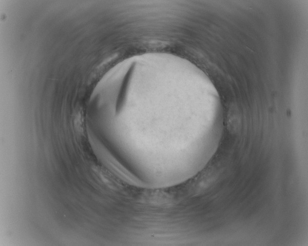 X0000079330866200612081957