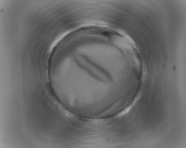 X0000079330877200612081956