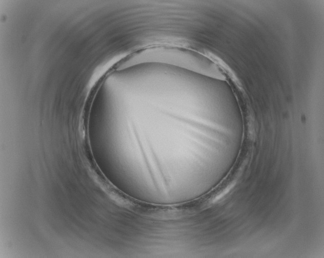 X0000079330885200612081956