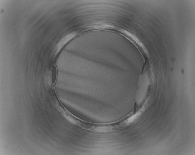 X0000079330889200612081956
