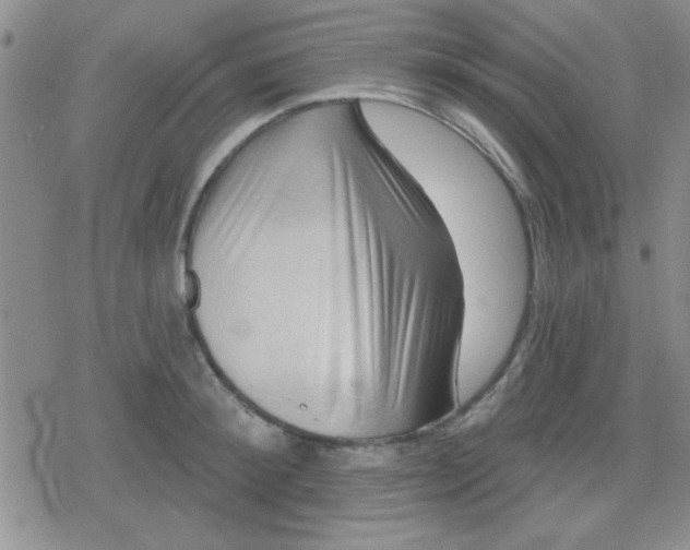 X0000079330900200612081956