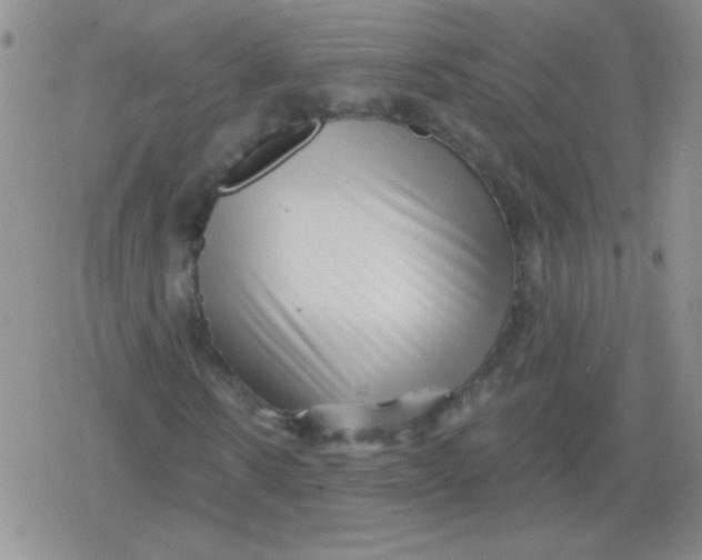 X0000079330914200612081955