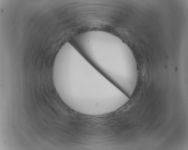 X0000079330916200612081955
