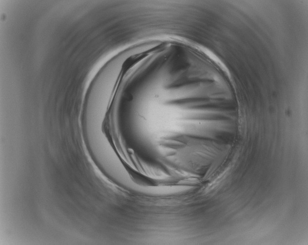 X0000079330951200612081956