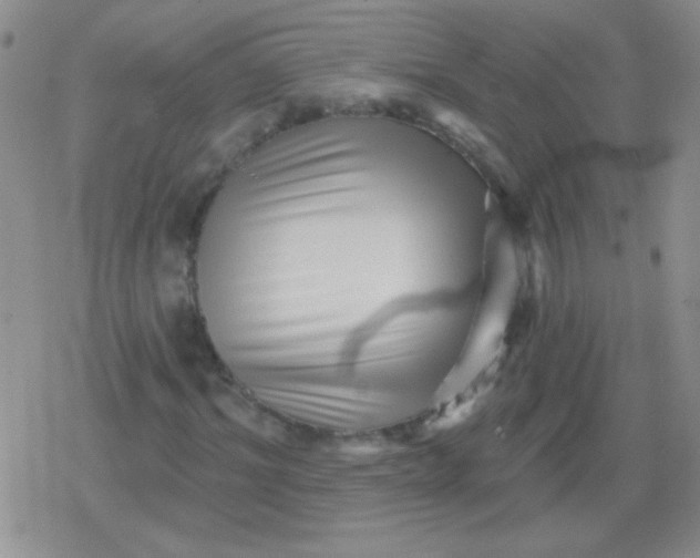 X0000079330964200612081955