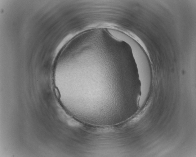 X0000079330997200612081954
