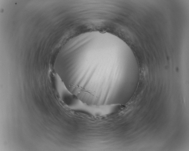 X0000079331012200612081954
