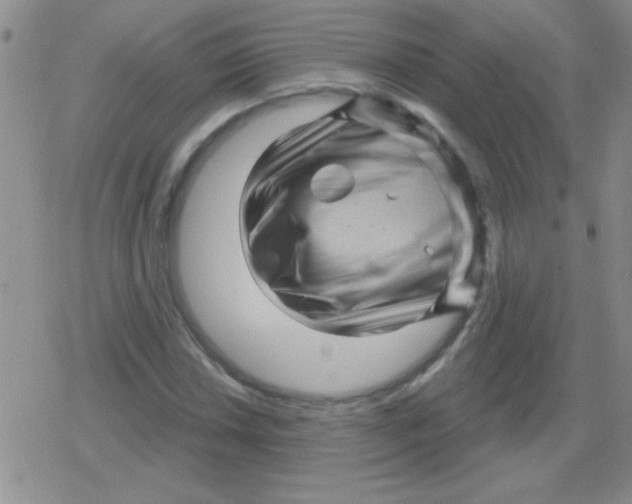 X0000079331018200612081954