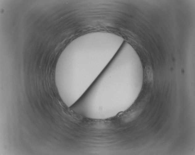 X0000079331060200612081953
