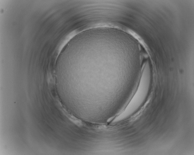 X0000079331097200612081953