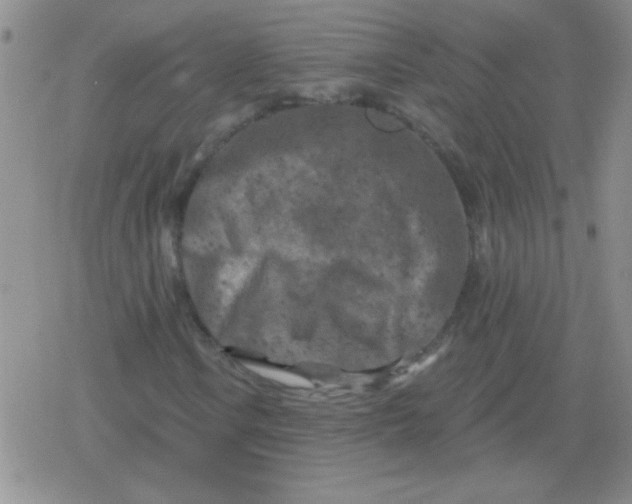 X0000079331106200612081952