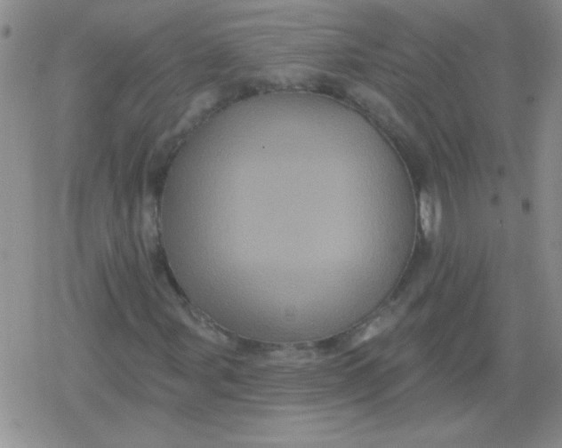 X0000079331107200612081952