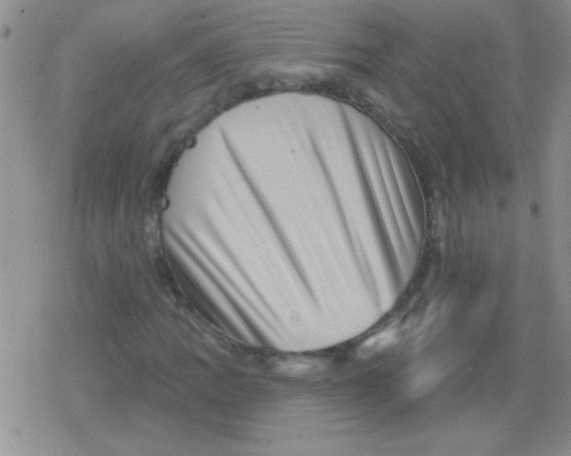 X0000079331109200612081952