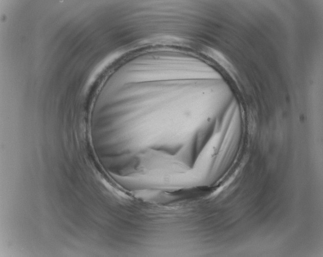 X0000079331115200612081952