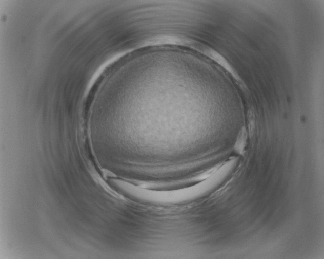 X0000079331116200612081952