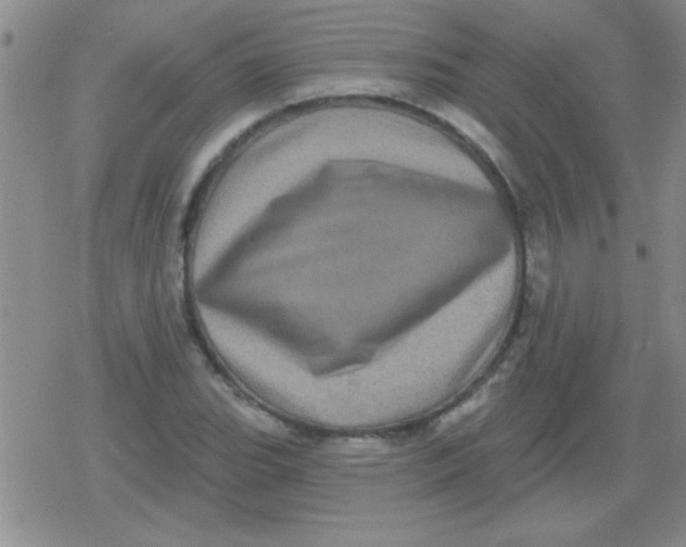 X0000079331119200612081952