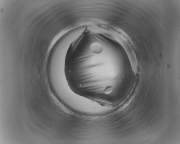 X0000079331122200612081952