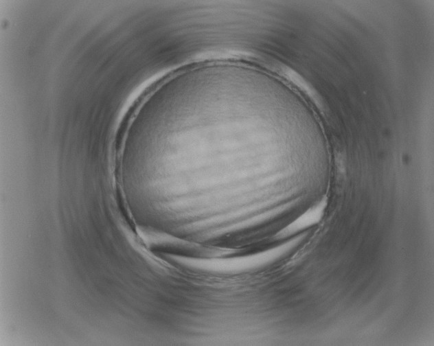 X0000079331124200612081952