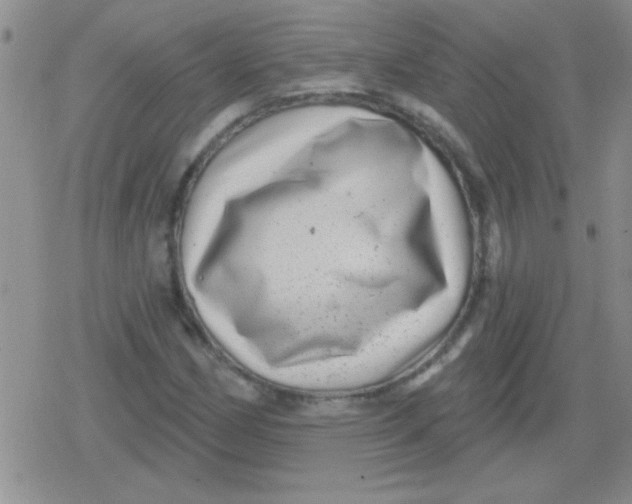 X0000079331162200612081952