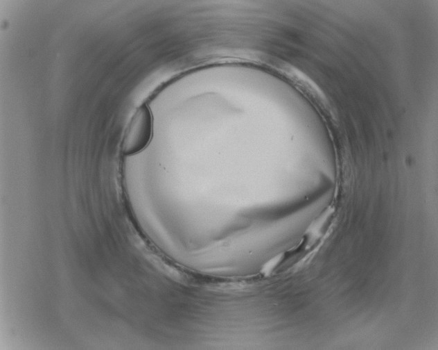 X0000079331182200612081951