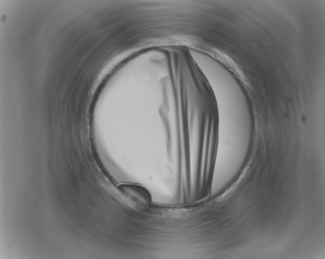 X0000079331184200612081951