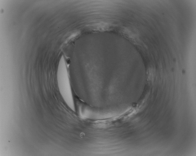 X0000079331202200612081950