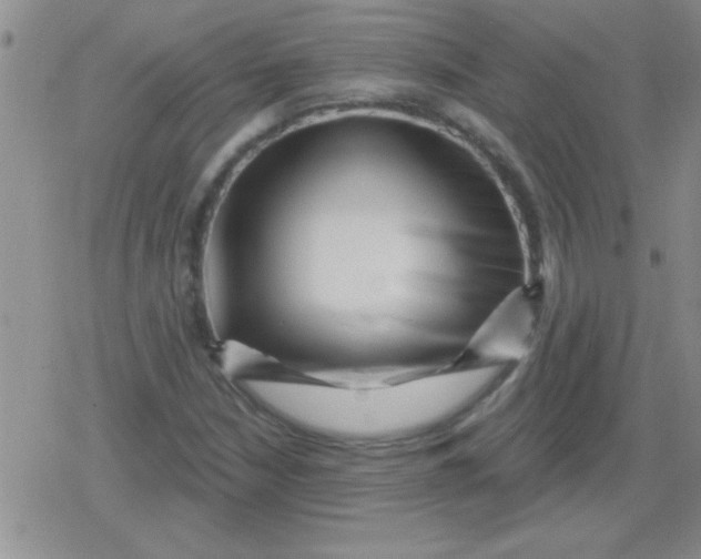 X0000079331210200612081951