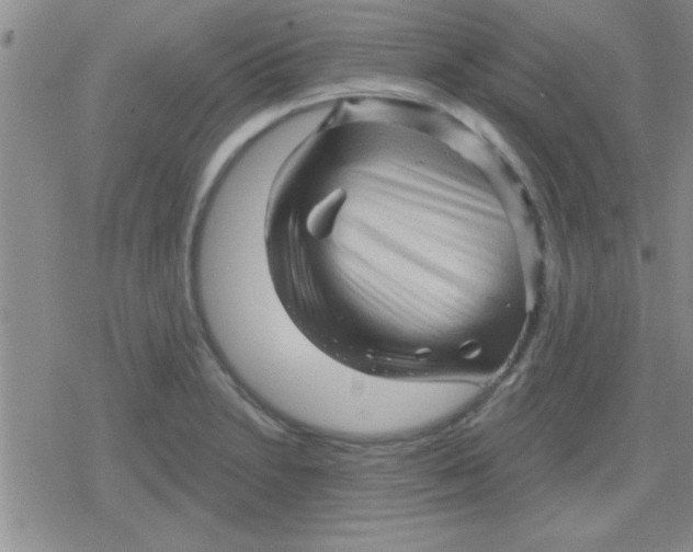 X0000079331230200612081951