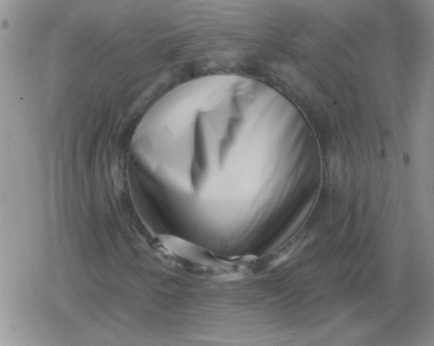 X0000079331250200612081950