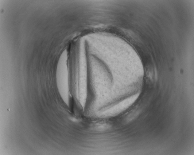 X0000079331252200612081950